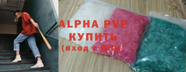стаф Заводоуковск
