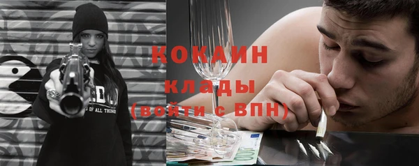 стаф Заводоуковск
