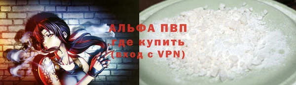 стаф Заводоуковск