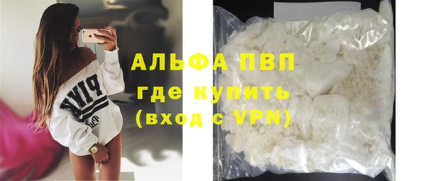 стаф Заводоуковск