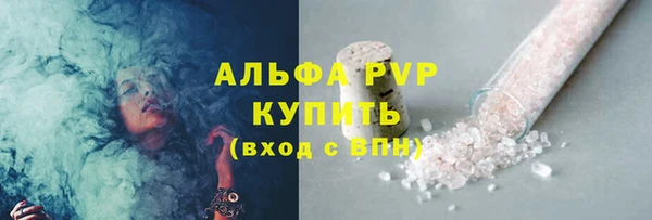 стаф Заводоуковск