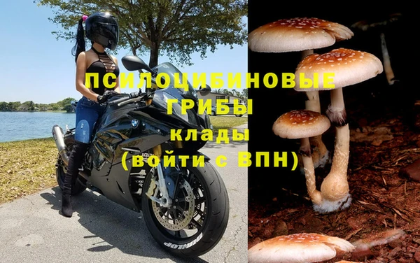 стаф Заводоуковск