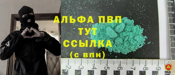 стаф Заводоуковск