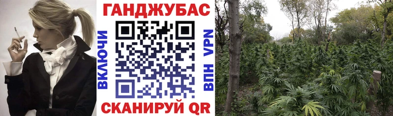 МАРИХУАНА план  Купить закладки  Крымск 